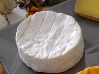 Camembert