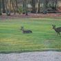 Hotel Ch�teau Le Briou D'Autry M�reau