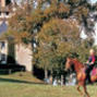 Hotel Ch�teau de la Tour Rivarennes