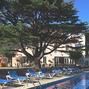 Hotel Les jardins du c�dre Port-Vendres