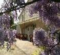 Auberge les Glycines Cancon