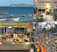 La ferme marine Marseillan