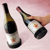 autour du vin : bottle coaster