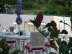 Tonic Htel - Hotel