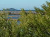 Residence Hoteliere La Pinede Bleue - Hotel