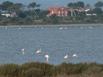 Residence Hoteliere La Pinede Bleue - Hotel