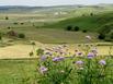 Logis Htel des Rochers - Hotel