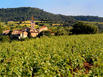 Jardins De Saint Benoit - Hotel