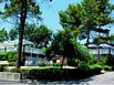 Belambra Hotels & Resorts Grasse Club Le Clavary - Hotel