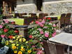 Chalet Hôtel Joly Site - Hotel