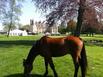 Chateau De Bertichres - Hotel