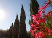 Residence Les Sources - Hotel