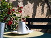 Le Moulin Du Chteau - Hotel