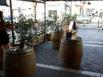 Le Littoral Bed & Lounge - Hotel