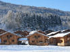 Rsidence Nemea Les Chalets du Bois de Champelle - Hotel