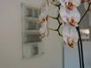 Hotel Le Saint Remy - Hotel