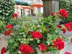 Les Thermes - Cerise Hotels & Résidences - Hotel