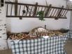 Maison dHtes Ferme dIssonges B&B - Hotel