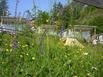 Camping Panoramique du Verdon - Hotel