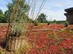 Dune Autre Nature - Hotel