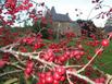 Manoir de la Branche - Hotel