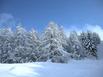 Gte Auberge Les Terres Blanches - Hotel