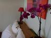 Studios Floreal - Hotel