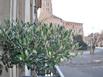 Htel St Sernin - Hotel