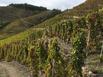 Htel Le Domaine des Vignes - Hotel