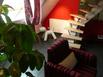 Le Chat Rouge Chambres dHtes de Charme en Alsace - Hotel