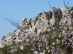 Les Treilles de LAlaric - Hotel