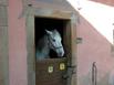 Chambres dHtes  la Ferme - Hotel