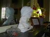 Htel le Dauphin - Hotel