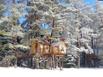 Cabanes dans les Arbres Nids des Vosges - Hotel