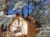 Cabanes dans les Arbres Nids des Vosges - Hotel