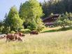 Chalet la Ferme des Petites Frasses - Hotel