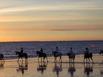 Le Home du Cotentin - Hotel