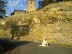 Chambres dhtes Le Lys de Castelnaud - Hotel