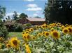 Gite Terre de Sabonnres - Hotel