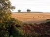 Holiday Home Bon Et Plus Saulcet - Hotel