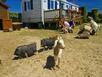Camping Yelloh Village Les Vikings - Hotel