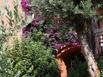 Htel CastellVerde - Hotel