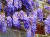 Holiday Home La Maison Du Jardin Vergoncey - Hotel