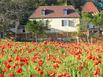 Domaine de Campagnac - Maison dHtes de Charme - Hotel