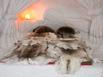 Village Igloo Morzine Avoriaz - Hotel