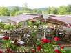 Hotel Restaurant La Musardiere - Hotel