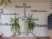 Logis Le Sainte Mere - Hotel