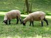 Ferme des Chartroux - Hotel