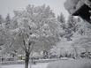 Hotel Restaurant des Lacs - Hotel