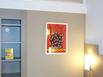 Hotel Cristol - Hotel